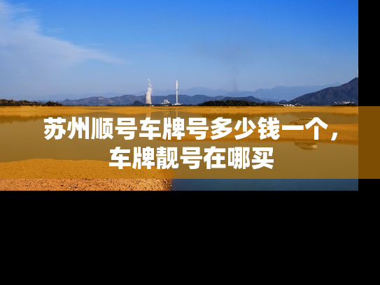 苏州顺号车牌号多少钱一个，车牌靓号在哪买-第1张图片-七号汽车选号