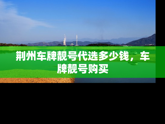 荆州车牌靓号代选多少钱，车牌靓号购买-第1张图片-七号汽车选号