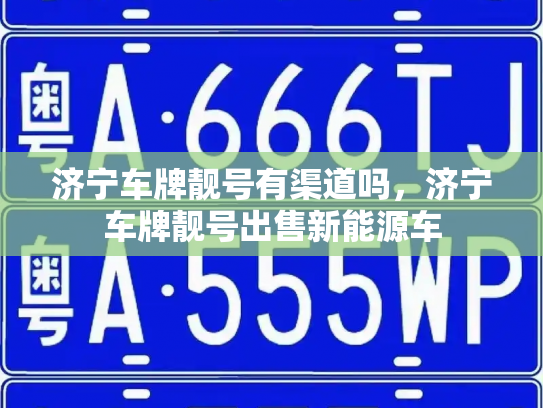 济宁车牌靓号有渠道吗,济宁车牌靓号出售新能源车-第3张图片-七号汽车选号 济宁车牌靓号有渠道吗,济宁车牌靓号出售新能源车-第3张图片-七号汽车选号