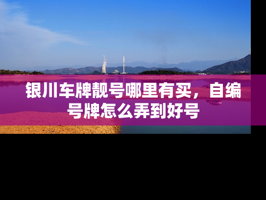 银川车牌靓号哪里有买，自编号牌怎么弄到好号