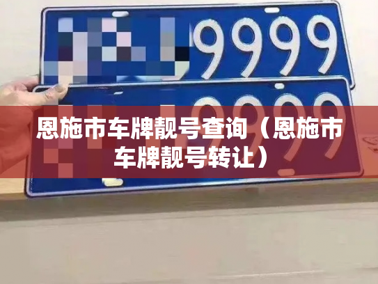 恩施市车牌靓号查询（恩施市车牌靓号转让）-第2张图片-七号汽车选号