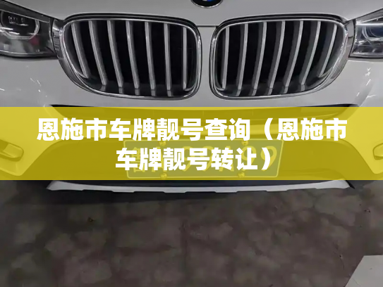 恩施市车牌靓号查询（恩施市车牌靓号转让）-第3张图片-七号汽车选号