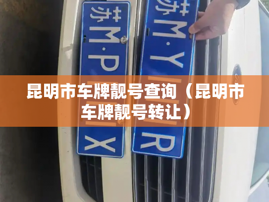 昆明市车牌靓号查询（昆明市车牌靓号转让）-第3张图片-七号汽车选号