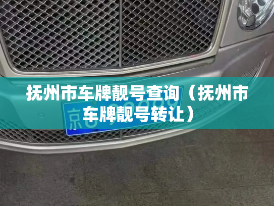 抚州市车牌靓号查询（抚州市车牌靓号转让）-第3张图片-七号汽车选号