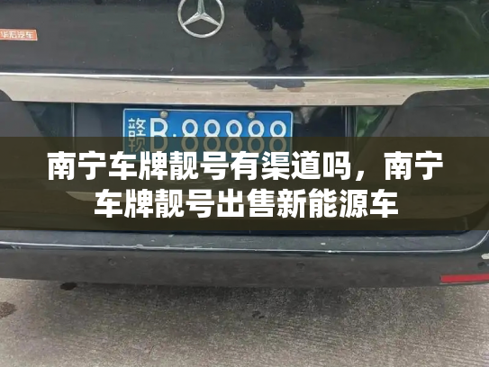 南宁车牌靓号有渠道吗，南宁车牌靓号出售新能源车-第3张图片-七号汽车选号