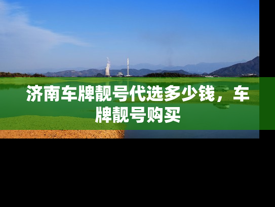 济南车牌靓号代选多少钱，车牌靓号购买