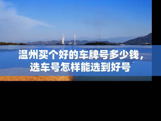 温州买个好的车牌号多少钱，选车号怎样能选到好号-第1张图片-七号汽车选号
