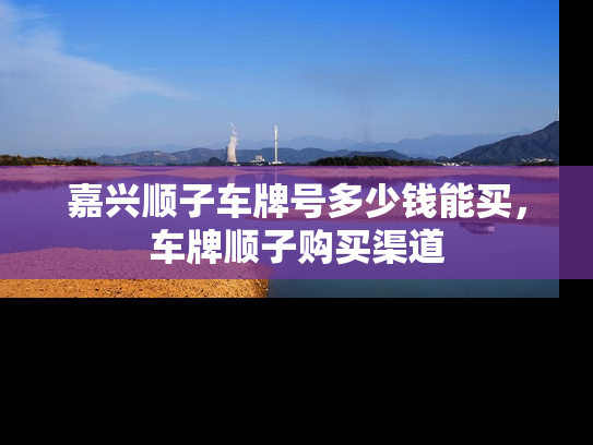 嘉兴顺子车牌号多少钱能买，车牌顺子购买渠道-第1张图片-七号汽车选号