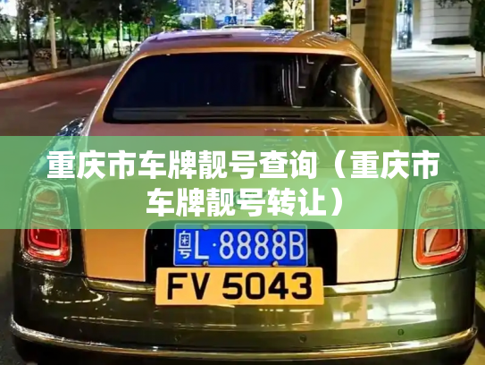 重庆市车牌靓号查询（重庆市车牌靓号转让）