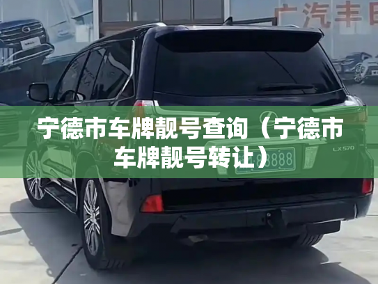 宁德市车牌靓号查询（宁德市车牌靓号转让）-第3张图片-七号汽车选号