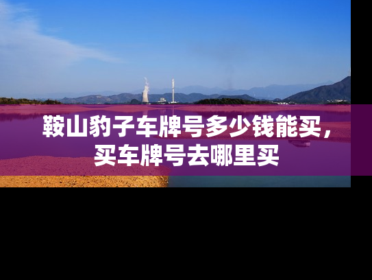 鞍山豹子车牌号多少钱能买，买车牌号去哪里买-第1张图片-七号汽车选号
