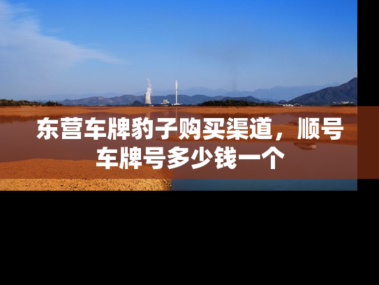 东营车牌豹子购买渠道，顺号车牌号多少钱一个-第1张图片-七号汽车选号