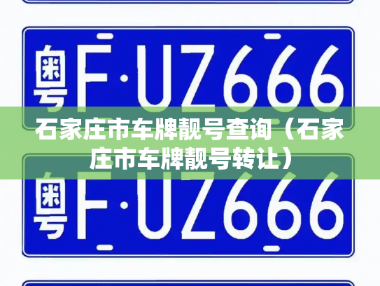 石家庄市车牌靓号查询（石家庄市车牌靓号转让）-第2张图片-七号汽车选号