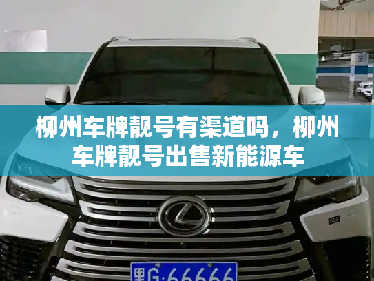 柳州车牌靓号有渠道吗,柳州车牌靓号出售新能源车-第3张图片-七号汽车选号 柳州车牌靓号有渠道吗,柳州车牌靓号出售新能源车-第3张图片-七号汽车选号