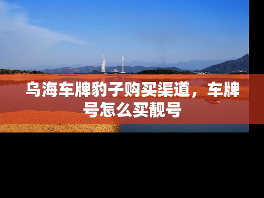 乌海车牌豹子购买渠道，车牌号怎么买靓号