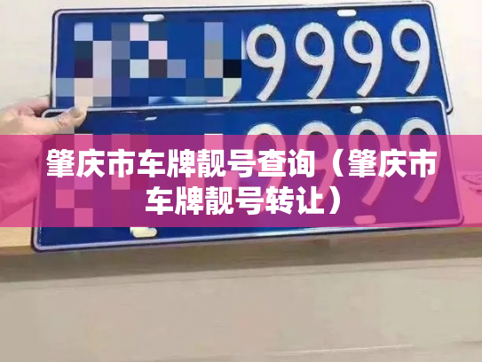 肇庆市车牌靓号查询（肇庆市车牌靓号转让）-第2张图片-七号汽车选号