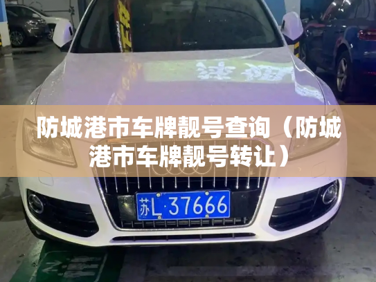 防城港市车牌靓号查询（防城港市车牌靓号转让）-第3张图片-七号汽车选号