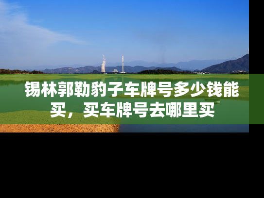 锡林郭勒豹子车牌号多少钱能买，买车牌号去哪里买-第2张图片-七号汽车选号