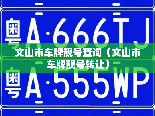 文山市车牌靓号查询（文山市车牌靓号转让）-第2张图片-七号汽车选号