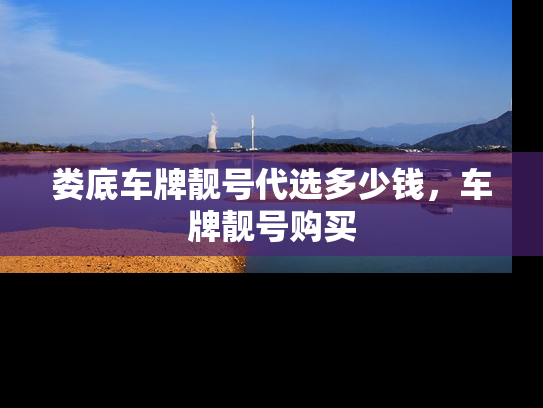 娄底车牌靓号代选多少钱，车牌靓号购买-第1张图片-七号汽车选号