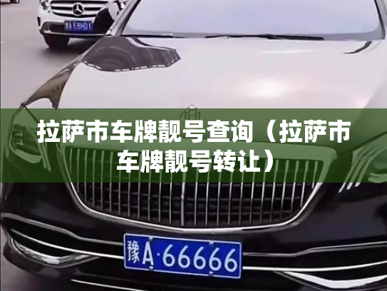 拉萨市车牌靓号查询（拉萨市车牌靓号转让）-第2张图片-七号汽车选号