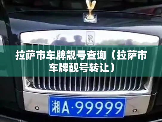 拉萨市车牌靓号查询（拉萨市车牌靓号转让）-第3张图片-七号汽车选号