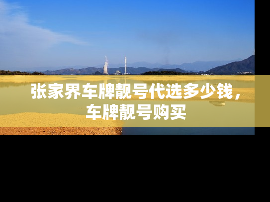 张家界车牌靓号代选多少钱，车牌靓号购买-第1张图片-七号汽车选号