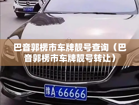 巴音郭楞市车牌靓号查询（巴音郭楞市车牌靓号转让）-第2张图片-七号汽车选号