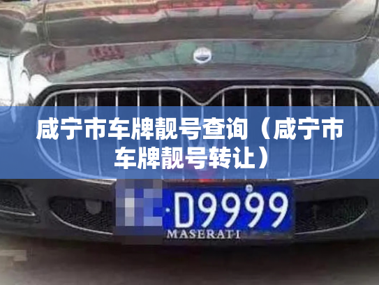 咸宁市车牌靓号查询（咸宁市车牌靓号转让）-第2张图片-七号汽车选号