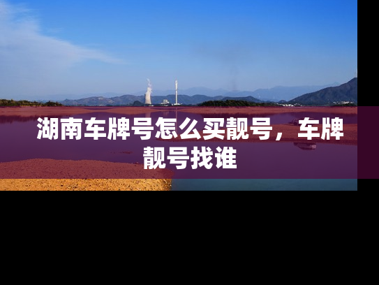 湖南车牌号怎么买靓号，车牌靓号找谁-第1张图片-七号汽车选号