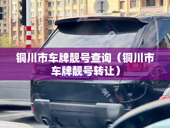 铜川市车牌靓号查询（铜川市车牌靓号转让）-第3张图片-七号汽车选号