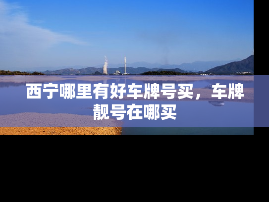 西宁哪里有好车牌号买，车牌靓号在哪买-第1张图片-七号汽车选号
