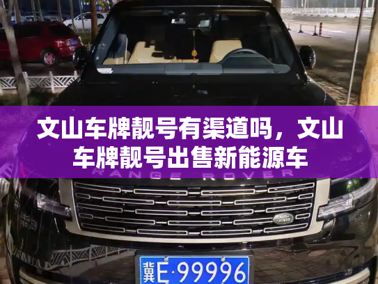 文山车牌靓号有渠道吗，文山车牌靓号出售新能源车-第2张图片-七号汽车选号