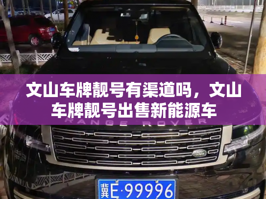 文山车牌靓号有渠道吗，文山车牌靓号出售新能源车-第3张图片-七号汽车选号