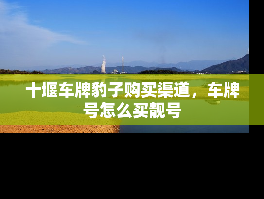 十堰车牌豹子购买渠道，车牌号怎么买靓号
