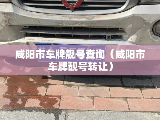 咸阳市车牌靓号查询（咸阳市车牌靓号转让）-第2张图片-七号汽车选号