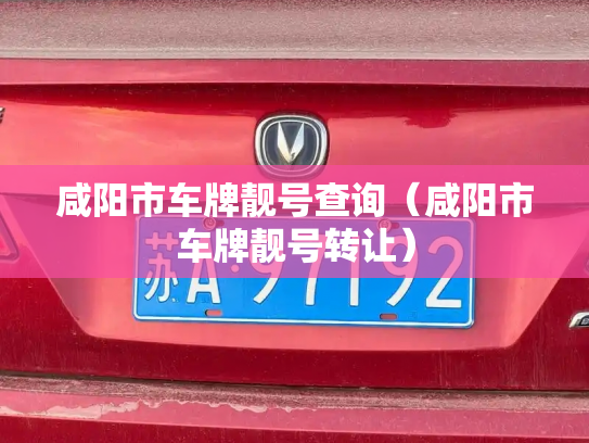 咸阳市车牌靓号查询（咸阳市车牌靓号转让）-第3张图片-七号汽车选号