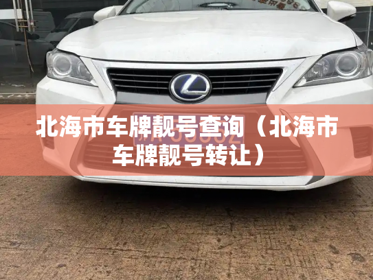 北海市车牌靓号查询（北海市车牌靓号转让）-第2张图片-七号汽车选号