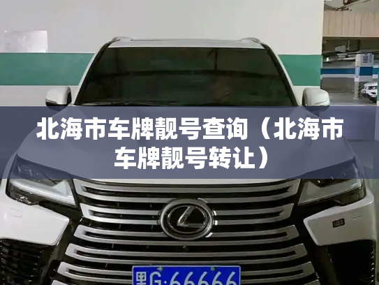北海市车牌靓号查询（北海市车牌靓号转让）-第3张图片-七号汽车选号