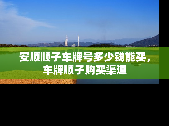 安顺顺子车牌号多少钱能买，车牌顺子购买渠道-第1张图片-七号汽车选号