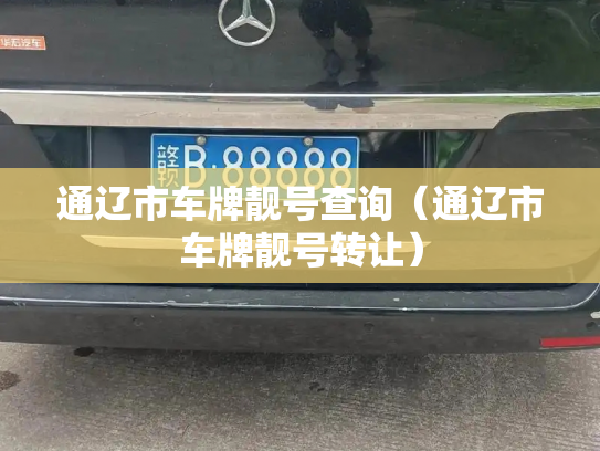 通辽市车牌靓号查询（通辽市车牌靓号转让）-第3张图片-七号汽车选号
