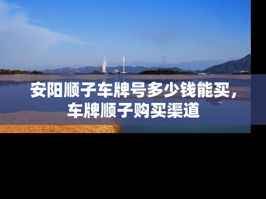 安阳顺子车牌号多少钱能买，车牌顺子购买渠道-第1张图片-七号汽车选号