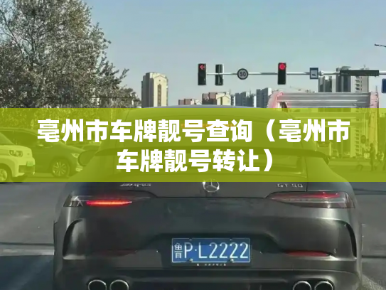 亳州市车牌靓号查询（亳州市车牌靓号转让）-第2张图片-七号汽车选号