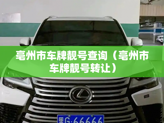 亳州市车牌靓号查询（亳州市车牌靓号转让）-第3张图片-七号汽车选号