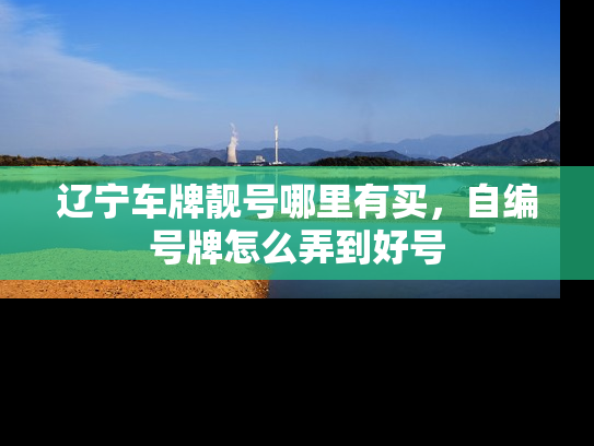 辽宁车牌靓号哪里有买，自编号牌怎么弄到好号-第1张图片-七号汽车选号