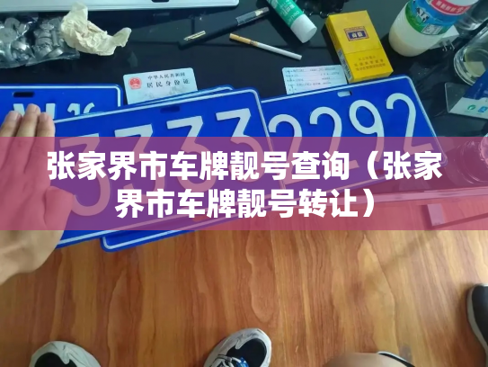 张家界市车牌靓号查询（张家界市车牌靓号转让）-第2张图片-七号汽车选号