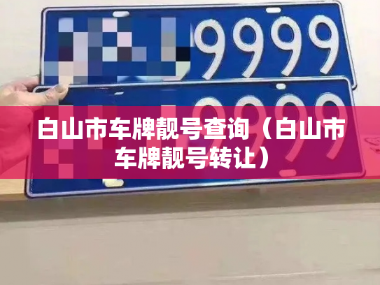 白山市车牌靓号查询（白山市车牌靓号转让）-第2张图片-七号汽车选号