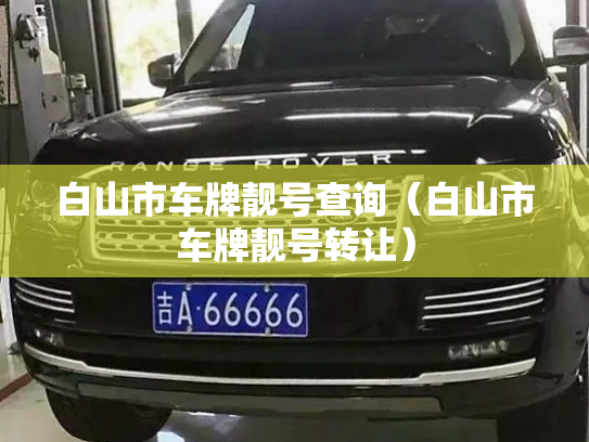 白山市车牌靓号查询（白山市车牌靓号转让）-第3张图片-七号汽车选号