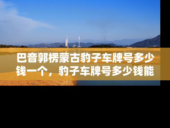 巴音郭楞蒙古豹子车牌号多少钱一个，豹子车牌号多少钱能买-第1张图片-七号汽车选号