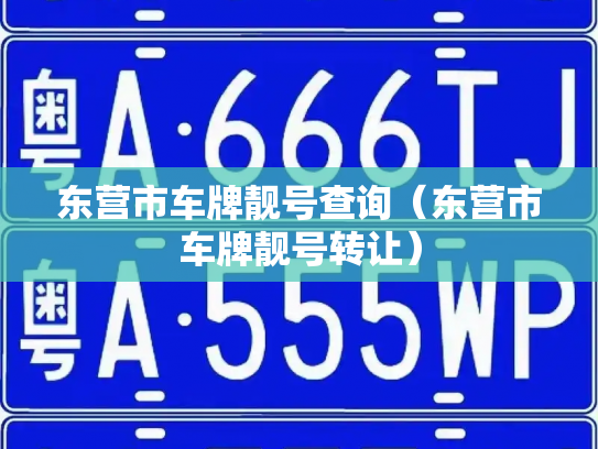 东营市车牌靓号查询（东营市车牌靓号转让）-第3张图片-七号汽车选号